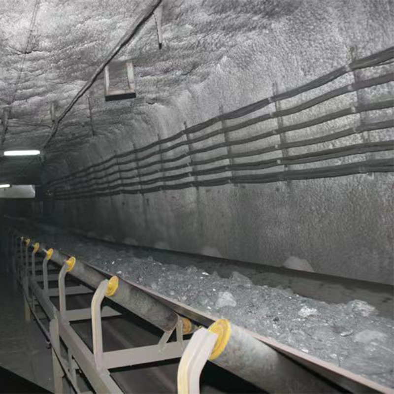 conveyor roller failures